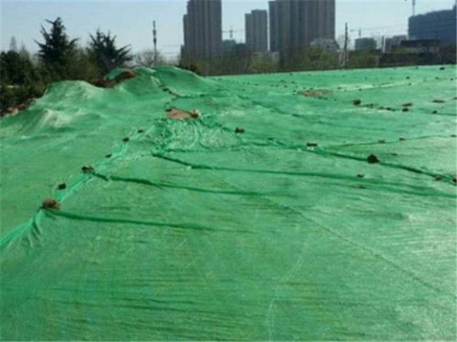 【创卫进行时】围墙上长草皮峨眉这些工地防尘有“新招”！
