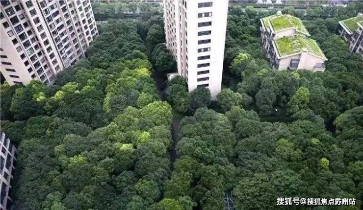 中鹰黑森林(售楼处)中鹰黑森林首页网站-最新房价户型图小区环境配套(图7)