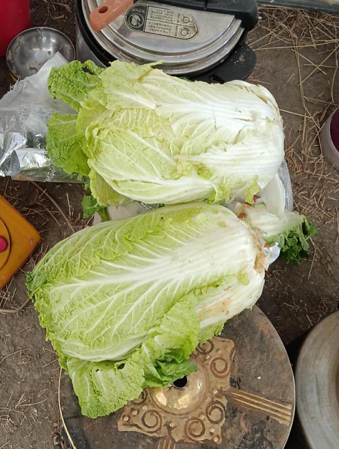 在震中周边的拉孜等来那顶帐篷(图8)