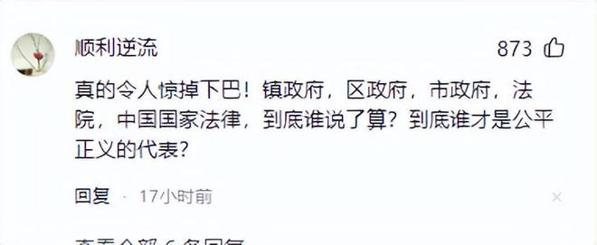 太霸道！吉林一公司遭违法强拆公司负责人被刑拘！官方回应！(图5)