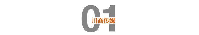 都江堰市：逐“绿”向“新” 政企同心激活发展新动能(图2)