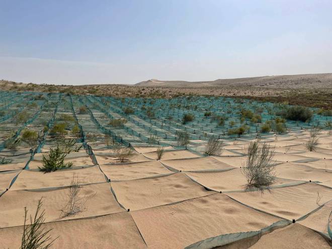 美环保专家：沙漠植树弊大于利东方某大国自称环保是骗局！(图12)
