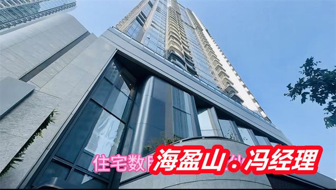 香港海盈山楼盘价格是多少多少钱一呎一平方最新销售情况如何