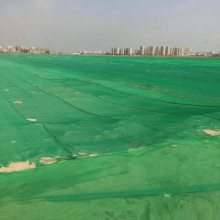明责任、抓落实！大连庄河开展扬尘整治专项行动(图1)