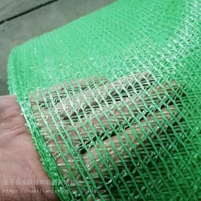 “环保困局”：过度环保与平衡发展(图1)