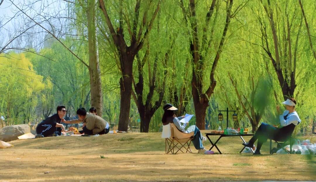 音乐+草地+帐篷+美食+快乐……德州天衢新区这些露营地等您来！(图4)