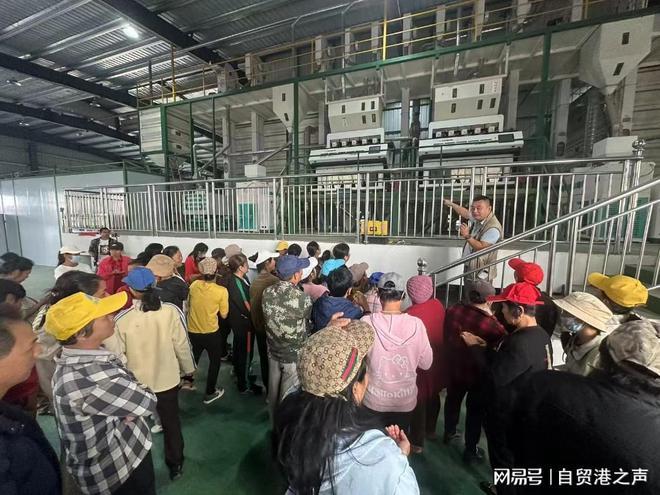海南乡投文化教育集团圆满完成文昌市槟榔种植技能服务培训任务(图3)