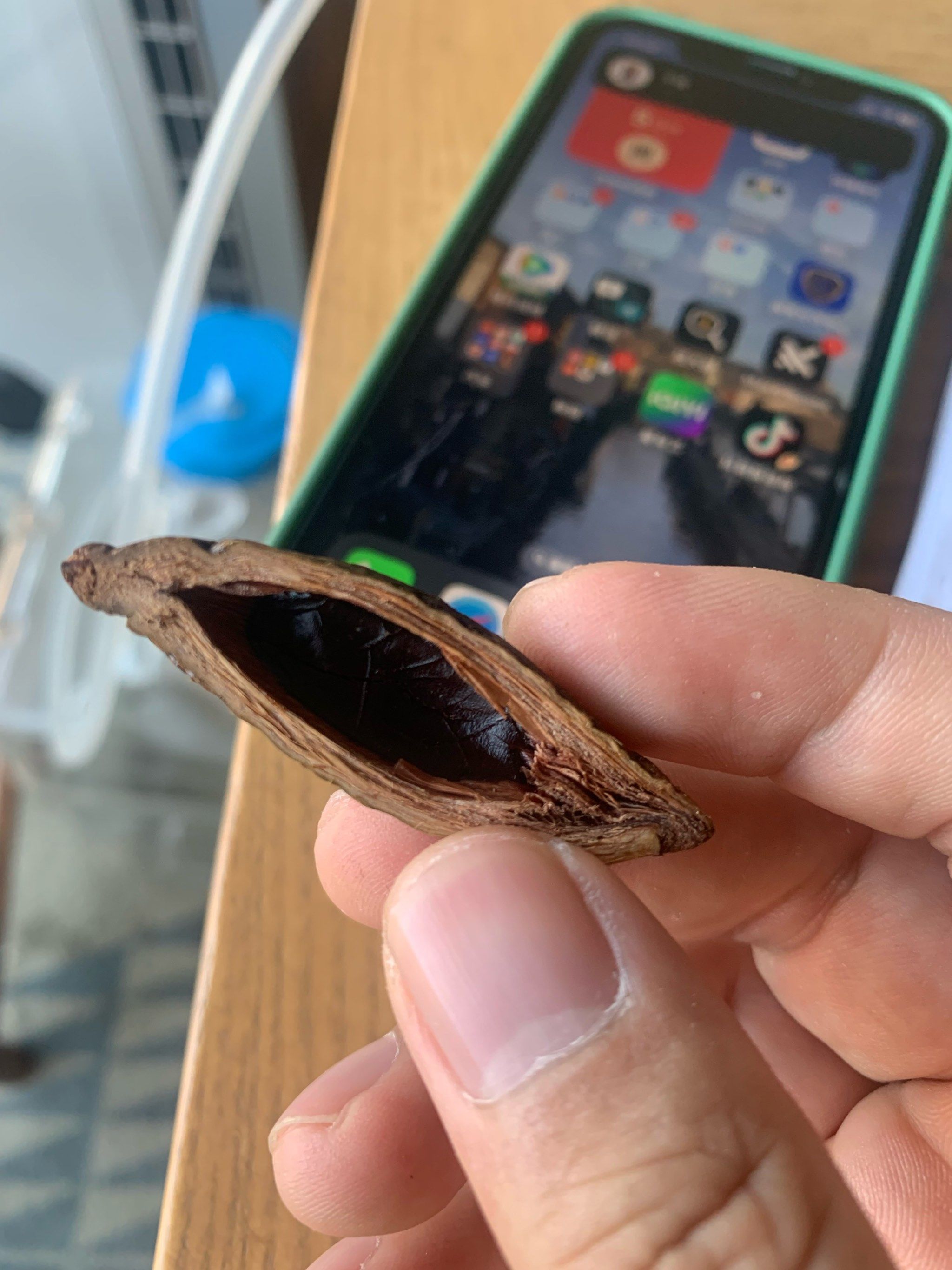 破局高价壁垒！槟帅槟榔口香糖以亲民价+品质保障引爆市场接受度(图1)