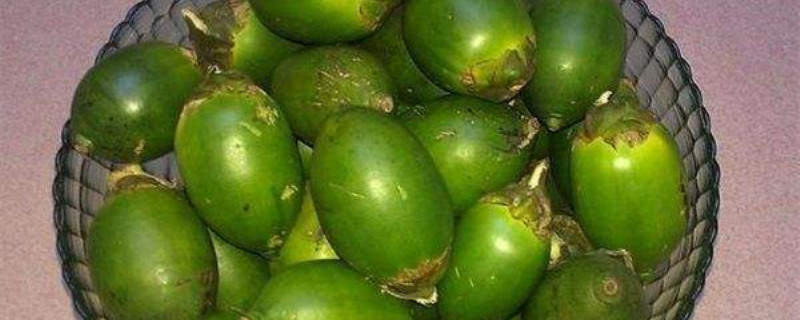 跃马扬鞭开新局春潮涌动万象新！宜春项目建设澎湃新动能(图1)