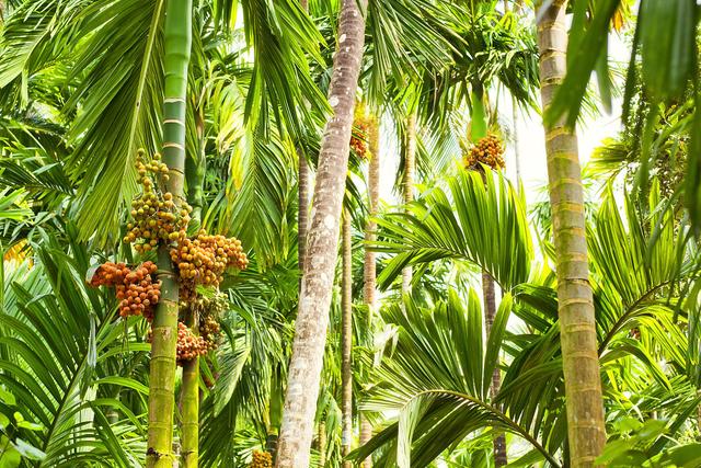 乐虎国际股份有限公司吃了槟榔？司机涉嫌醉驾一测酒精含量高达90mg100ml(图1)