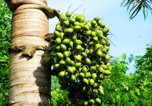 龙岩三农2025五张答卷+2026六张蓝图请你查阅(图1)