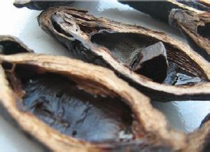 含中山18个村！广东数字村史馆正式上线(图1)