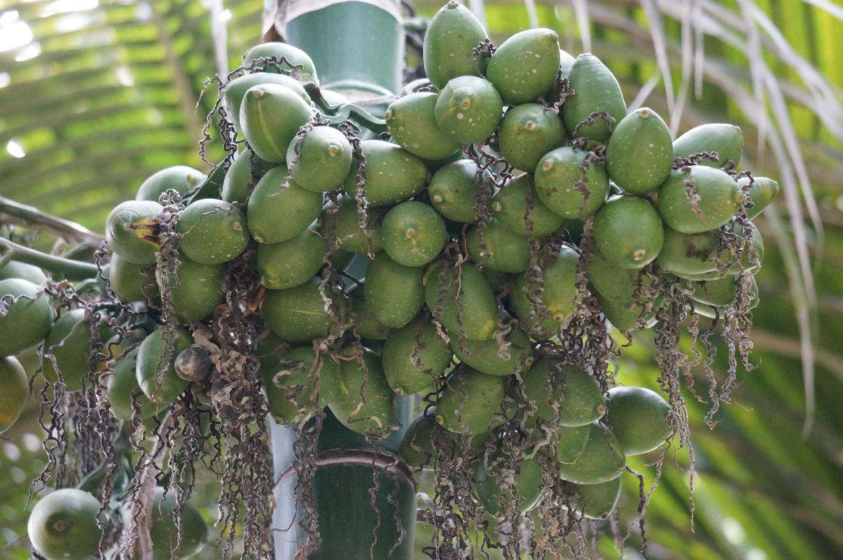 国家索马里兰有多奇葩？穷的只剩钱百姓把钱摆到地摊售卖(图1)