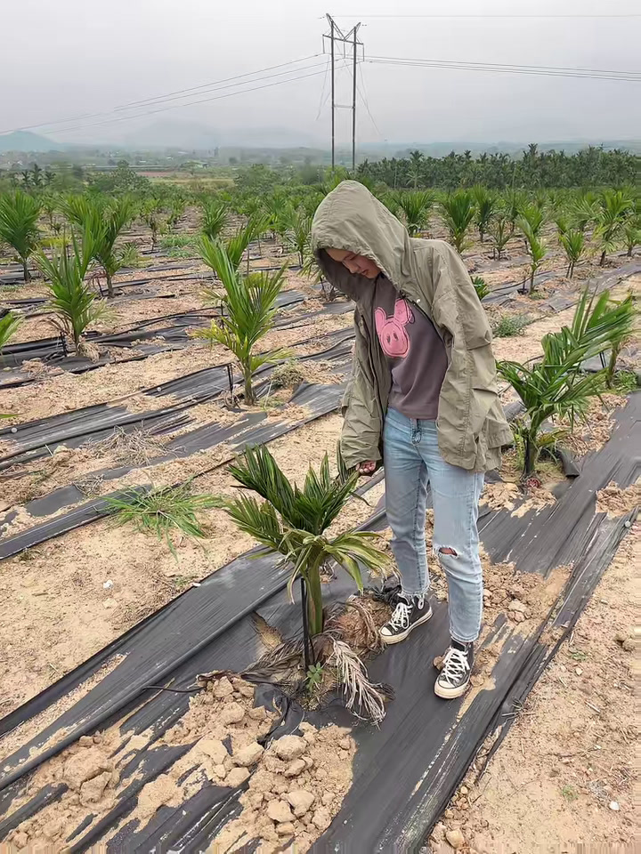 科学网—花开长安(图1)
