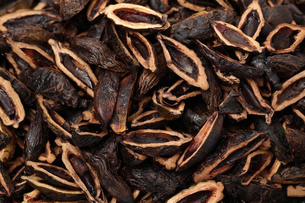 2026口腔清洁用品行业：从量变到质变的五年跨越(图1)