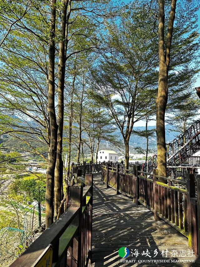 【金牌旅游村】福建｜集美区田头村：诗意田园醉美人文(图4)