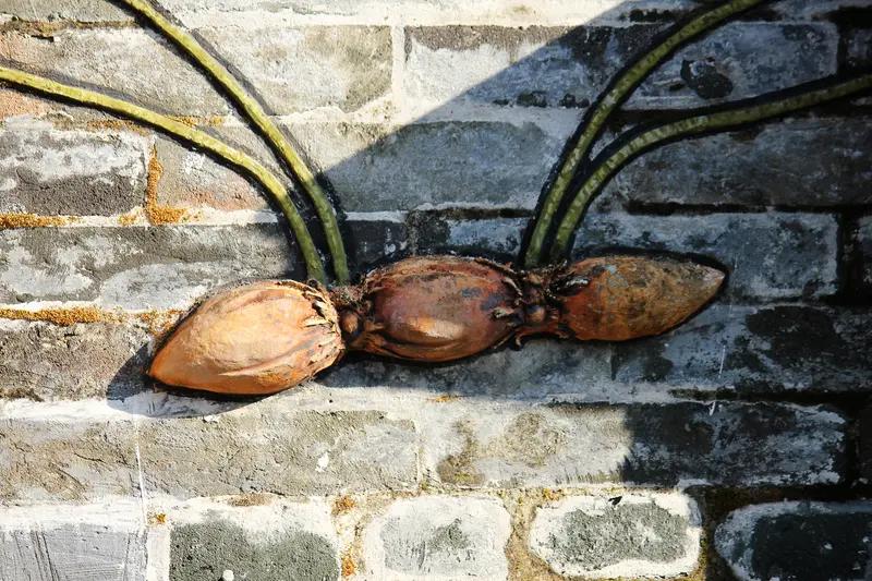 乐虎你知道吗？槟榔曾是岭南人的“圣果”(图3)