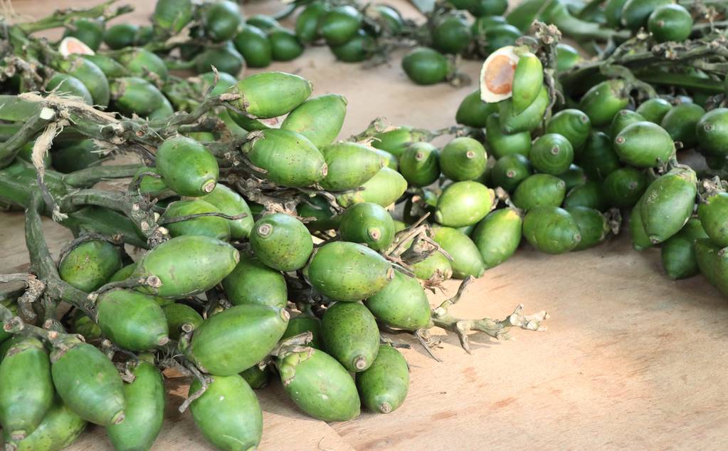 一包槟榔5000元！天价槟榔刷屏头条客服确认属实(图1)