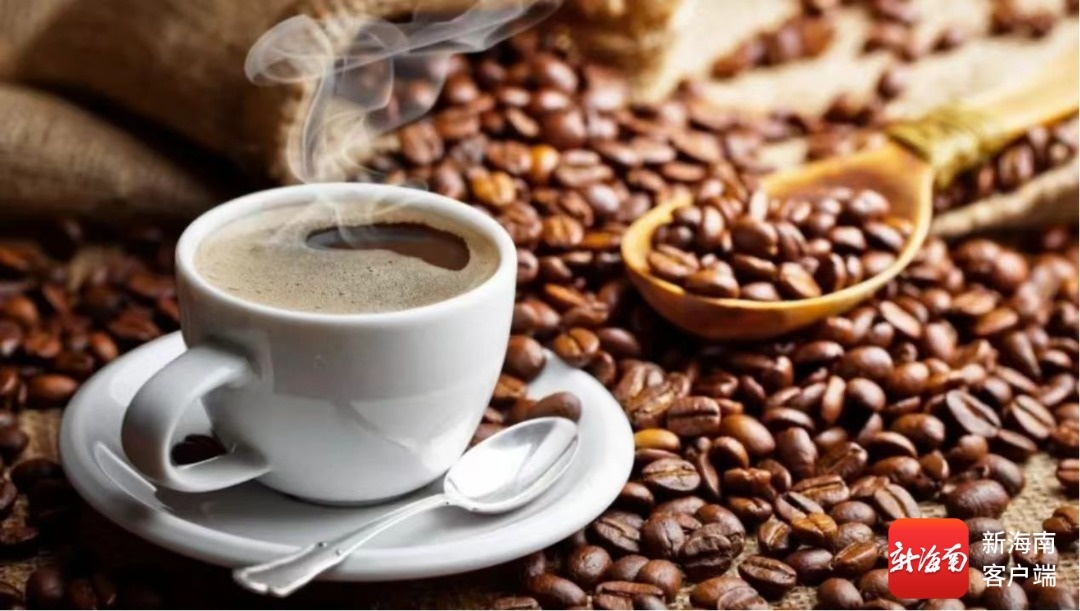 万宁特色农产品打出“组合拳”拓宽品牌出海通道(图2)