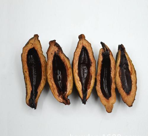 乐虎国际鹭岛计划：青少年科普活动开启新篇章——趣味闯关与科学家书信交流(图1)