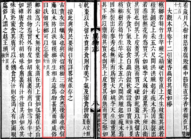 乐虎国际杨孚《异物志》：以槟榔续写千年岭南文脉(图3)
