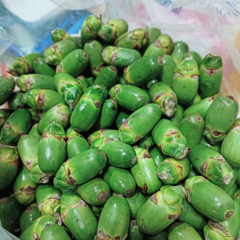 lehu国际乐虎官网林下套种食药用菌一亩林地多份收益！(图1)